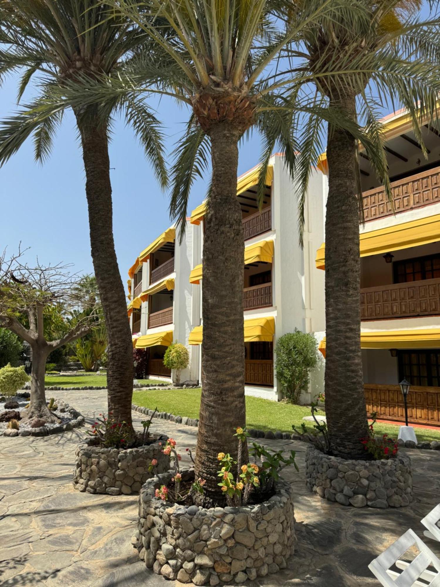 Canario Dunes *